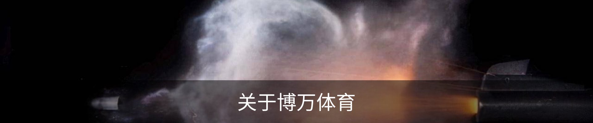 关于博万体育